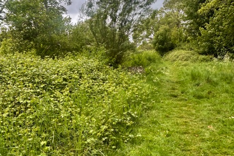 Path to the River Test